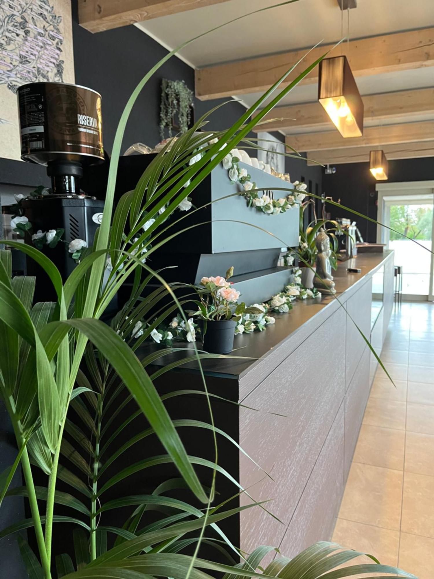 Bed & Breakfast La Rondinella Cerasolo Exterior foto